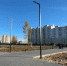 1000 метров живой изгороди появится в сквере на улице Всесвятской во Владимире - Телеканал Вариант