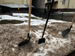 22 марта во Владимире пройдет первый общегородской субботник