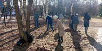 Во Владимирской области подвели итоги первых городских субботников - Комсомольская правда