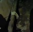 d45328ee-a5b4-4276-b799-1d24481f1da9.jpg - ГТРК Владимир