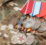 132 человека зарегистрировались в кадровой программе "Герои-33" - Владимирские Ведомости