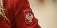 За неделю во Владимирской области выявлено пять клещей с вирусом Лайма - Владимирские Ведомости