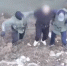 Во Владимирской области действовали десять пособников телефонных мошенников - PRO Город Владимир