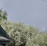 Синоптики спрогнозировали заморозки во Владимирской области - 6tv.Ru