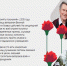 «Красная гвоздика» - Минэкономразвития Владимирской области