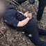 Во Владимирской области правоохранители на прошедшей неделе зарегистрировали 47 преступлений с использованием IT-технологий - Телеканал Вариант
