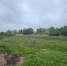 photo_2025-05-29_09-17-37.jpg - VladimirOnline.Ru