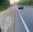 Водитель Mercedes насмерть сбил велосипедиста на автодороге «Владимир-Муром-Арзамас» - Progorod33.Ru