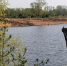 Сотрудник УФСИН России по Владимирской области спас на воде жизнь человека - УФСИН