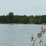 Во Владимире и Ковровском районе помогли очистить водоёмы дайверы - PRO Город Владимир