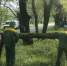 Во Владимире продолжают ликвидировать последствия непогоды - Город Владимир