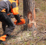 03oGaCfSK6g.jpg - VladimirOnline.Ru