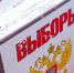 Во Владимире стартовали выборы депутатов городского совета - Владимирские Ведомости