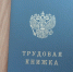 Прокуратура во Владимирской области выявила незаконную торговлю трудовыми книжками - Progorod33.Ru