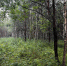 photo_2025-07-10 - Сетевое издание Владимирские новости