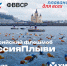 Владимирцев приглашают принять участие во флешмобе «Россия, плыви!» - Министерство физкультуры и спорта