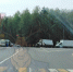 photo_2025-07-16_10-22-08.jpg - VladimirOnline.Ru