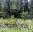 2(119)-800x600.jpg - ГТРК Владимир
