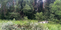 2(119)-800x600.jpg - ГТРК Владимир