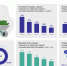 2025-cucumber_01.jpg - VladimirOnline.Ru