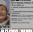 Трое пропавших во Владимирской области найдены живыми - 6tv.Ru
