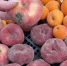 Во Владимире Роспотребнадзор и ОНФ провели рейды по торговым точкам - Progorod33.Ru