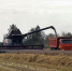 1368-1probel1 - Сетевое издание Владимирские новости