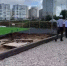3 - Сетевое издание Владимирские новости
