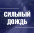 Синоптики прогнозируют сильный дождь - Город Владимир