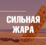 Синоптики прогнозируют во Владимире жаркую погоду - Город Владимир