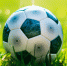 "Матч Победы" во Владимире: чиновники сразятся с ветеранами "Динамо" 6 сентября - Progorod33.Ru