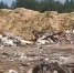 В Ковровском районе местные жители задыхаются от гигантской свалки - Progorod33.Ru