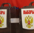 Во Владимире стартовали выборы в Совет народных депутатов - Город Владимир