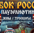 Во Владимирской области разыграют Кубок России по пауэрлифтингу - Администрация области