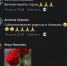 6d6629da-06da-4f35-adc2-35cf16a79be0 - Сетевое издание Владимирские новости