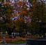 Арктический холод обрушится на восток, а Центральную Россию накроет "депрессия" - прогноз погоды Евгения Тишковца - Progorod33.Ru