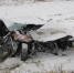 01afcab5-ef4b-44b7-a4f0-066b45afd5f4.jpeg - ГТРК Владимир