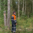 Владимирцы обратились к спасателям более 12 тысяч раз за неделю - Progorod33.Ru
