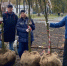 В сквере на улице Интернациональная в Гусь-Хрустальном высадили деревья и кустарники - Комсомольская правда