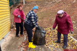 Во Владимире проходит осенний общегородской субботник
