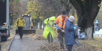 Во Владимире в городском субботнике приняло участие 17 тысяч человек - Комсомольская правда