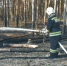 Во Владимирской области в два раза сократилось число лесных пожаров - 6tv.Ru