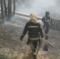 Во Владимирской области выписали штрафов на 1,4 млн рублей за нарушения в лесах - Телеканал Вариант