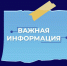 Управление по охране окружающей среды напоминает о правилах обращения с домашними животными - Город Владимир