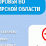 Жители Владимирской области могут задать вопросы о медобслуживании в Telegram-чатах - ГТРК Владимир