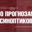 Синоптики прогнозируют во Владимире туман с ухудшением видимости - Город Владимир