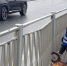 На Рпенской магистрали приходится массово менять ограждение из-за серии произошедших там ДТП - Zebra-TV.Ru