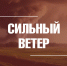 Синоптики прогнозируют во Владимире сильные порывы ветра - Город Владимир