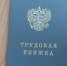 В Киржаче закрыли 6 сайтов по продаже трудовых книжек со стажем - PRO Город Владимир