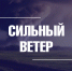 Синоптики прогнозируют во Владимире сильный ветер - Город Владимир